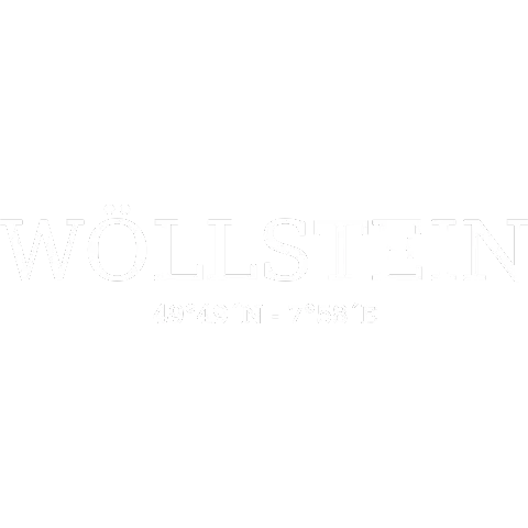 Wöllstein Koordinaten