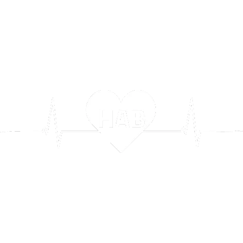 Hammelburg HAB Nummernschild Herzschlag
