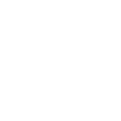 Lorbeerkranz Aquila Adler SPQR Rom Shirt