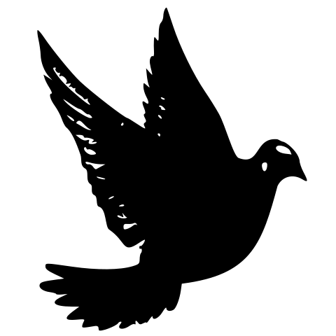 Friedenstaube