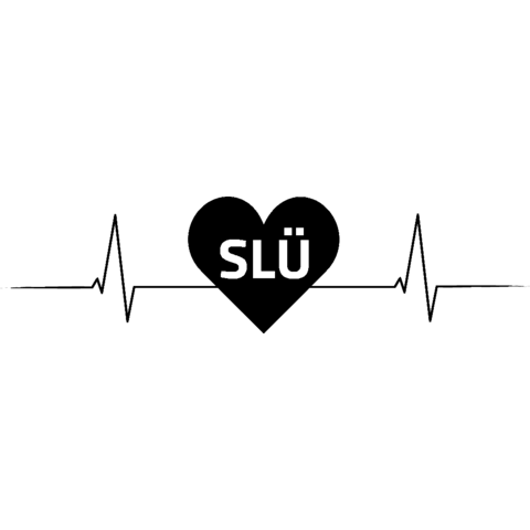 SchlÜchtern SLÜ Nummernschild Herzschlag