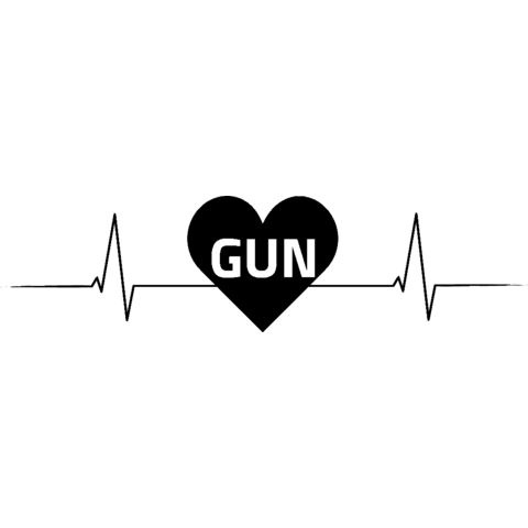 Gunzenhausen GUN Nummernschild Herzschlag