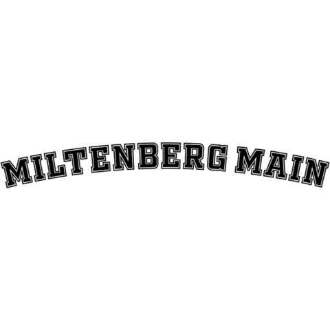 Miltenberg Main