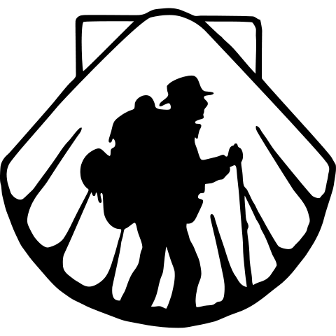 Pilgermuschel 1