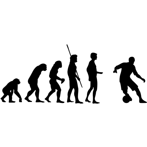 Evolution Fussball