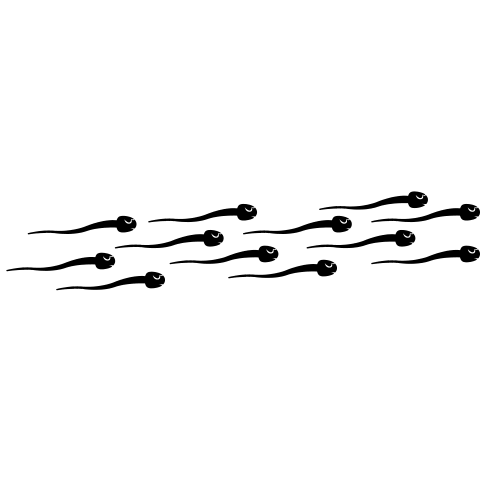 Spermcheck