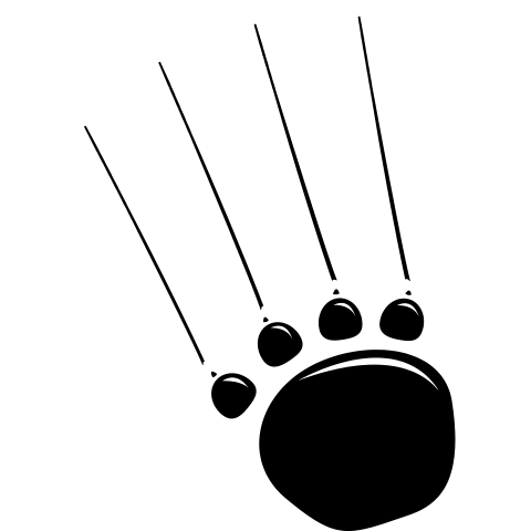 Bärentatze