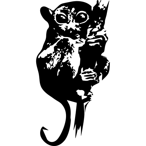 Koboldmaki
