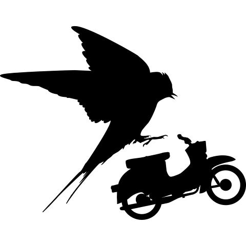 Zwei Schwalbe