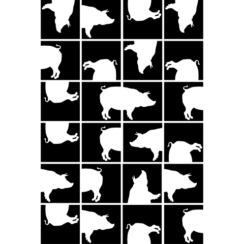 Schweine Domino