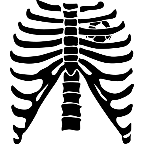 Brustkorb mit Fußballherz