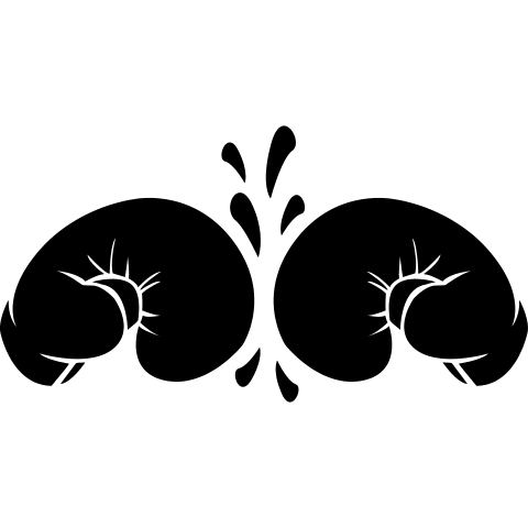 Boxkampf Boxhandschuhe