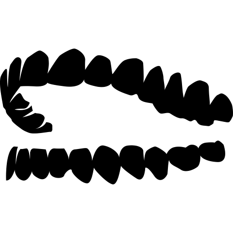 Gebiss Zähne
