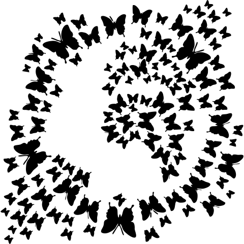 Schmetterlinge Erde