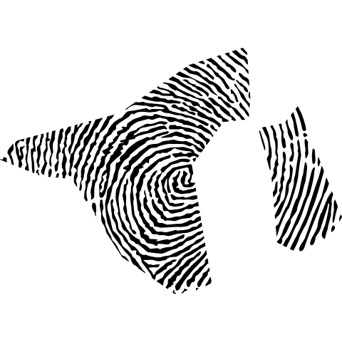Brunei Fingerabdruck