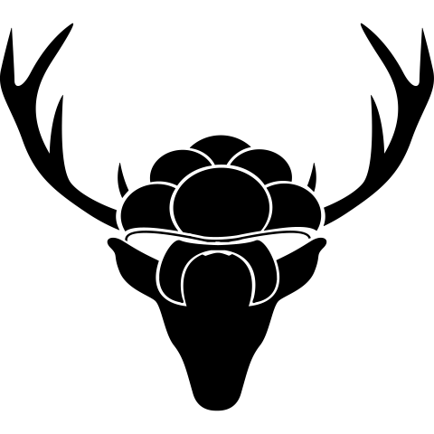 Hirschgeweih mit Bollenhut