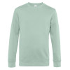 Aqua Green