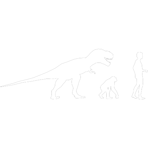 Evolution Saurier Rex