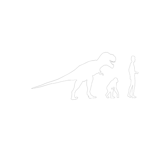 Evolution Saurier Rex