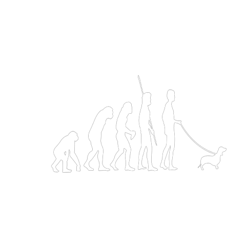 Evolution Dackel
