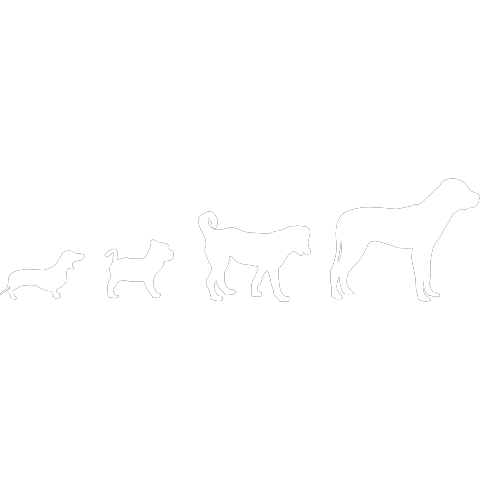 Hunde Evolution