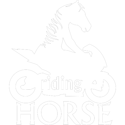 riding Horse