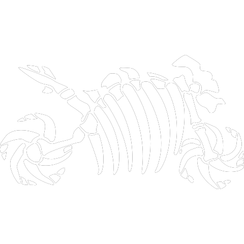 Motorrad Fossil Skelett
