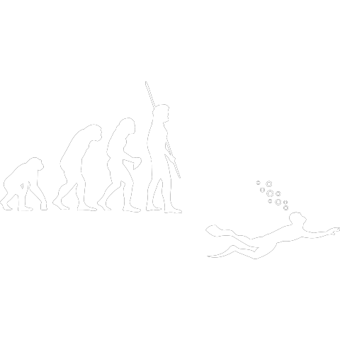 Evolution Taucher