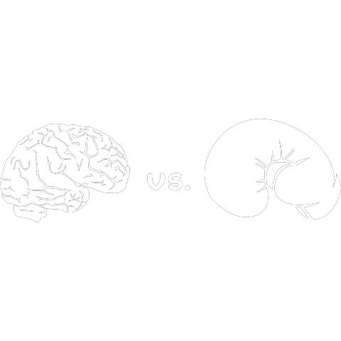 Gehirn vs. Boxhandschuh