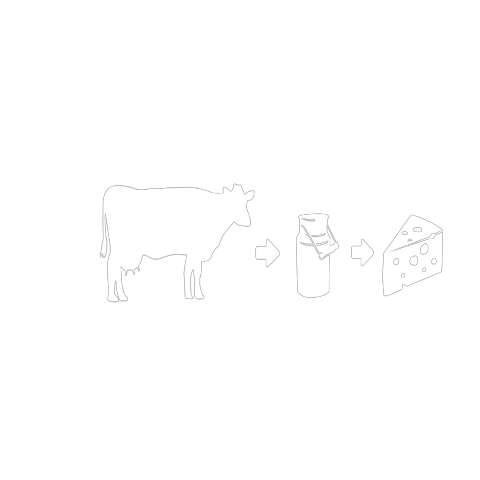 Evolution Milch Käse Shirt