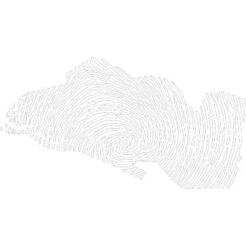 El Salvador Fingerabdruck