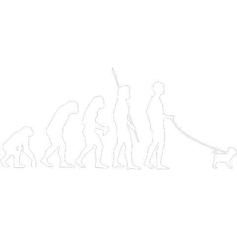 Evolution Hund Mops