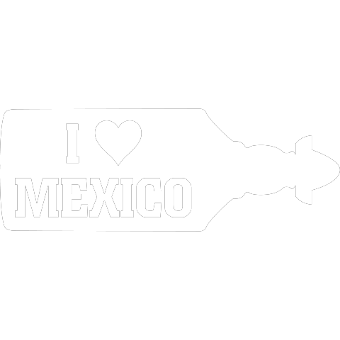 I Love Mexico Sierra Tequila Flasche