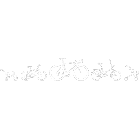 Fahrrad Evolution Rennrad