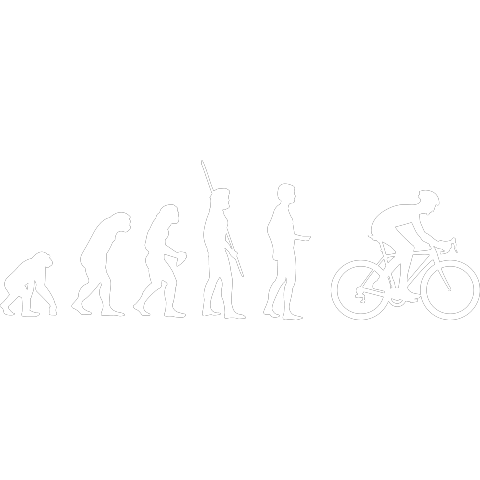 Evolution Rennrad