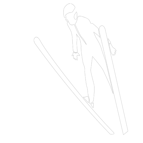 Skispringer