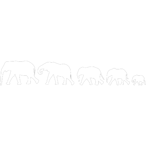 Elefantenfamilie XXL