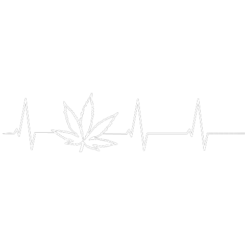 Herzschlag Cannabis