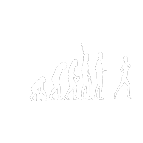Evolution Joggerin