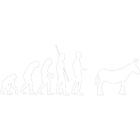 Evolution Esel
