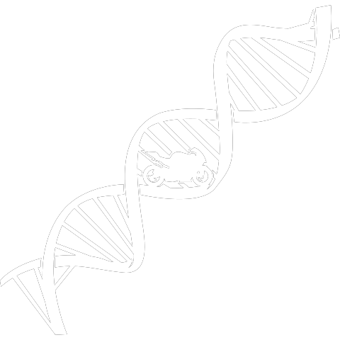 Motorrad DNA