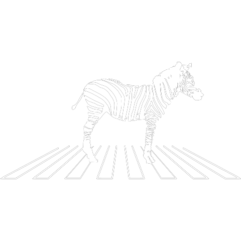 Zebra auf Zebrastreifen schwarz weiß