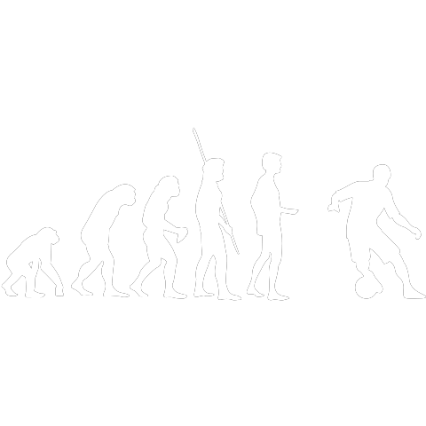 Evolution Fussball