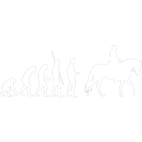 Evolution Pferd