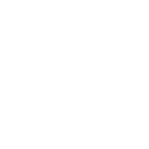 Motorrad Chopper Evolution Front