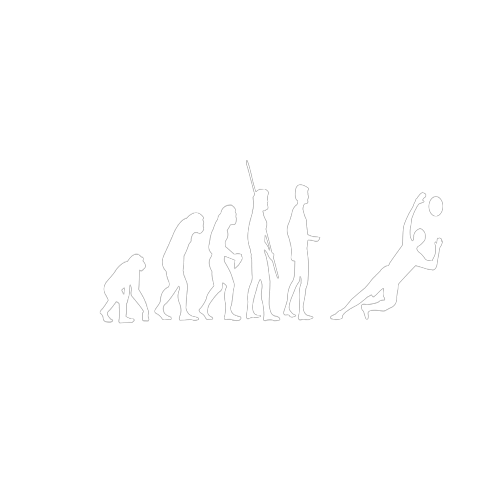 Evolution Torhüterparaden