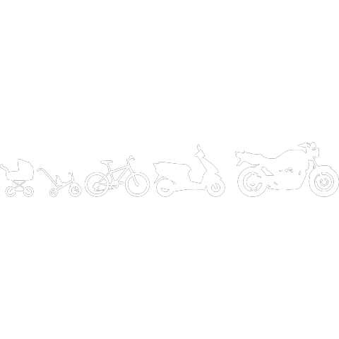 Motorrad Evolution Naked Bike