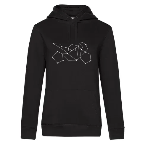 Motorrad Sternzeichen Hoodie