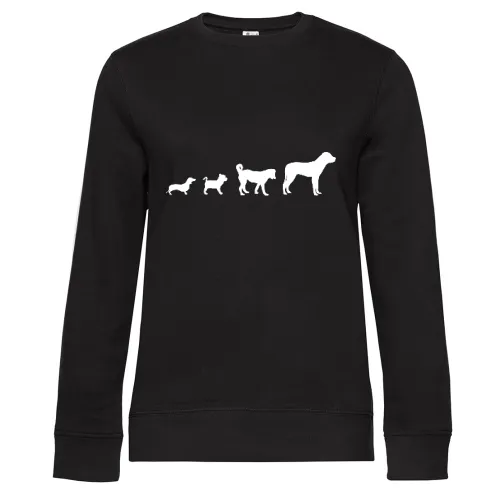 Hunde Evolution Sweat