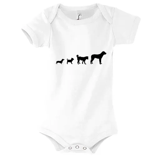 Hunde Evolution Body